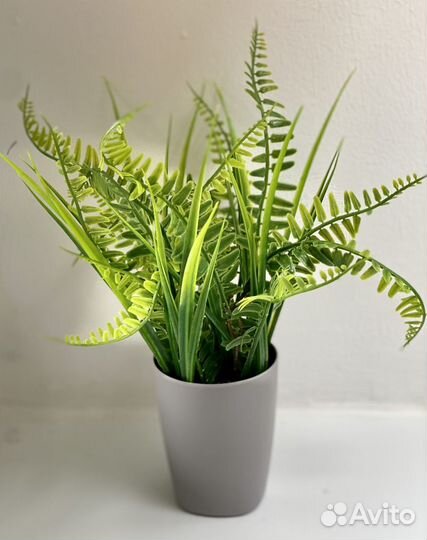 Зелень в горшке