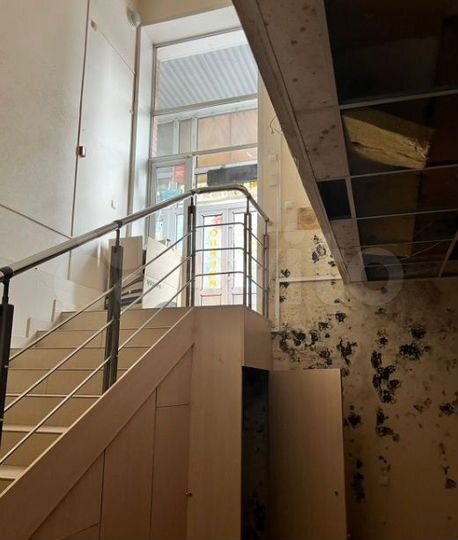 Нежилое помещение, 203.8 м²