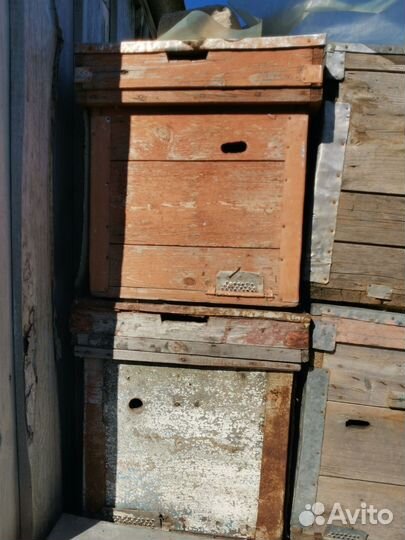 Нуклеусы(улья)