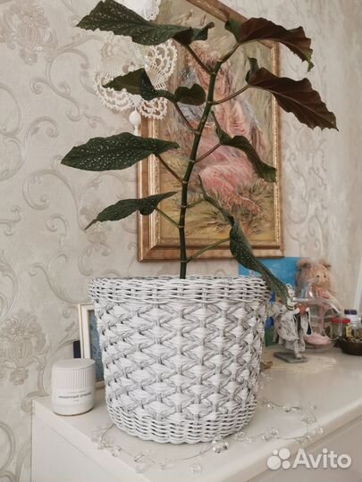 Кашпо для цветов из ротанга