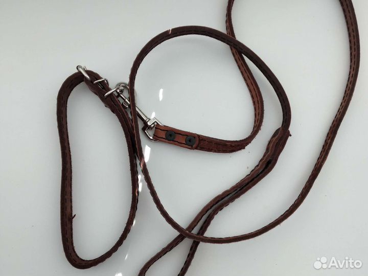 Ошейник для собак, шлейка