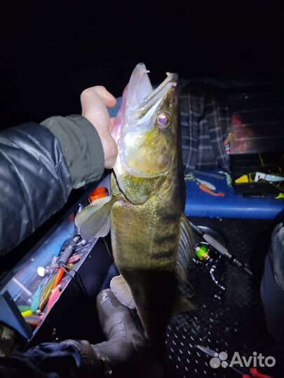 Рыбалка с гидом