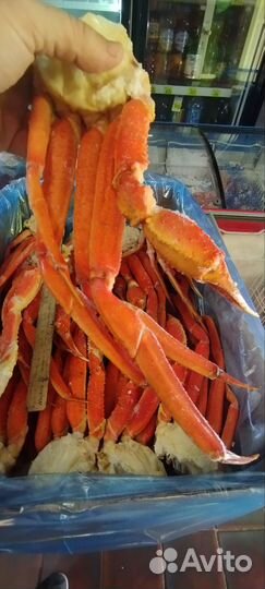 Конечности краба стригуна