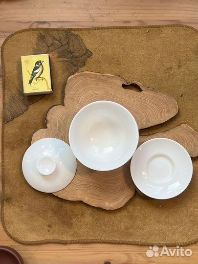 Гайвань белая