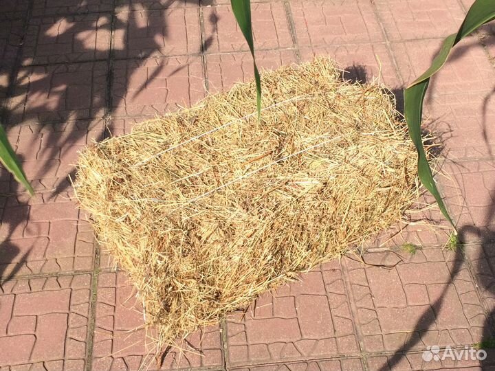 Сено в тюках для Декора, Животных и Мульчирования