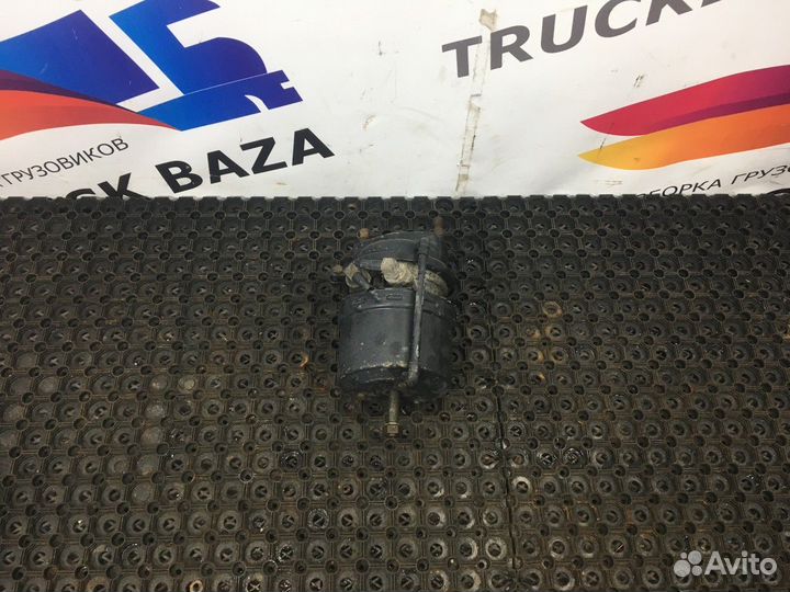 Энергоаккумулятор тормозной Man TGL