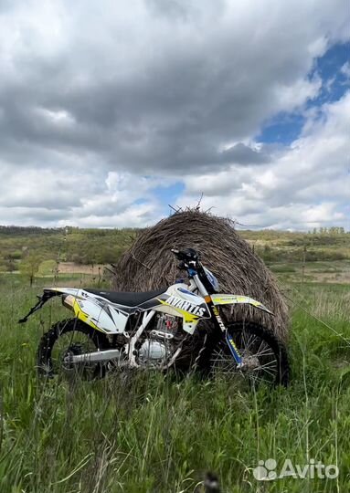 Avantis fx 250 lux