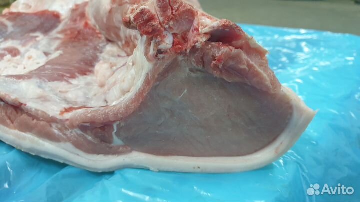 Мясо свинина