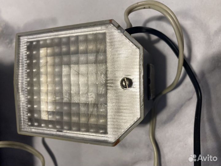 Фотовспышка чайка