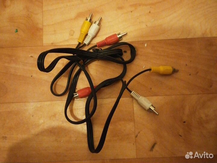 Тюльпаны провода