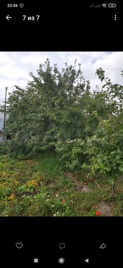 Дача 40 м² на участке 4,5 сот.