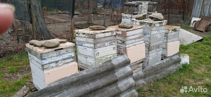 Ульи пчелиный, б/у