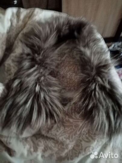 Полусапожки