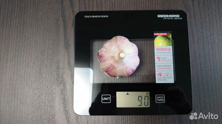 Чеснок озимый, сорт Любаша 1-я репродукция