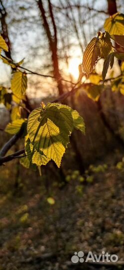 Видеомонтаж