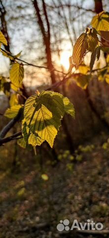 Видеомонтаж