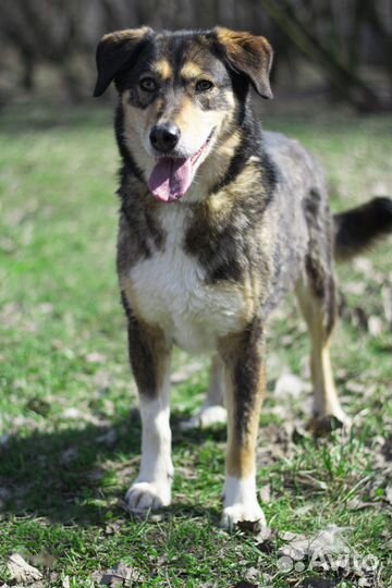 Молодая, ласковая и очень нежная девочка