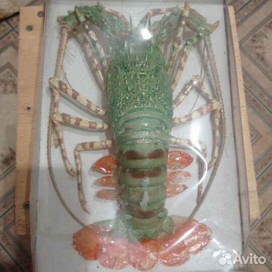 Лангуст в подарок