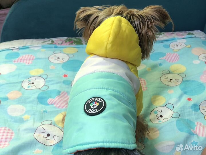 Куртка дл собаки S