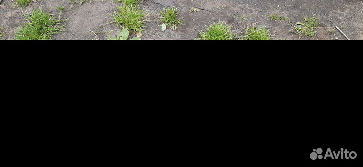 Чучела уток для охоты