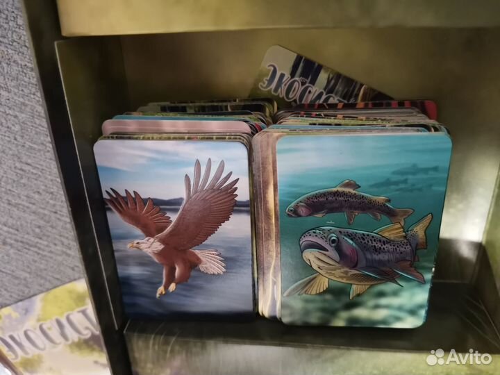 Настольная игра 