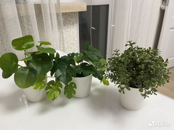 Искустренные цветки из IKEA