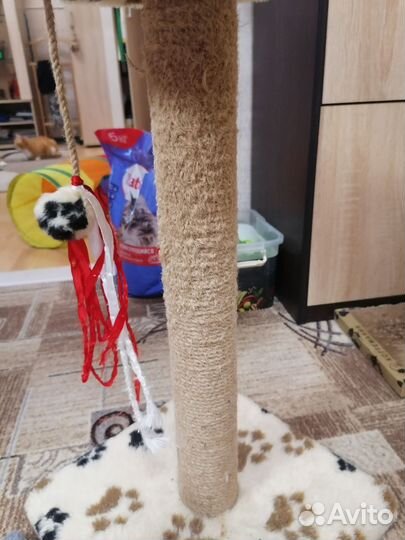 Когтеточка