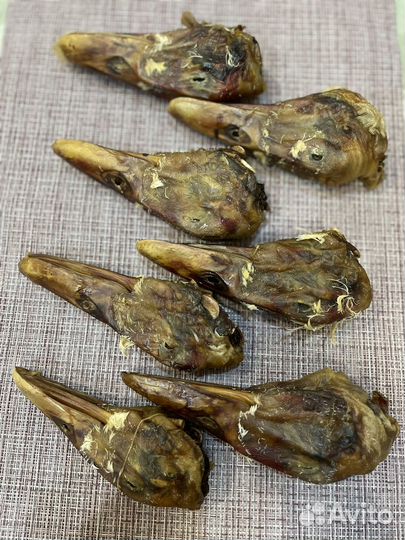 Лакомства для собак