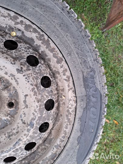 Dunlop SP Winter Ice 01 205/55 R16