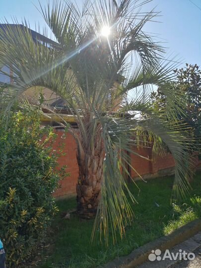 Парикмахер