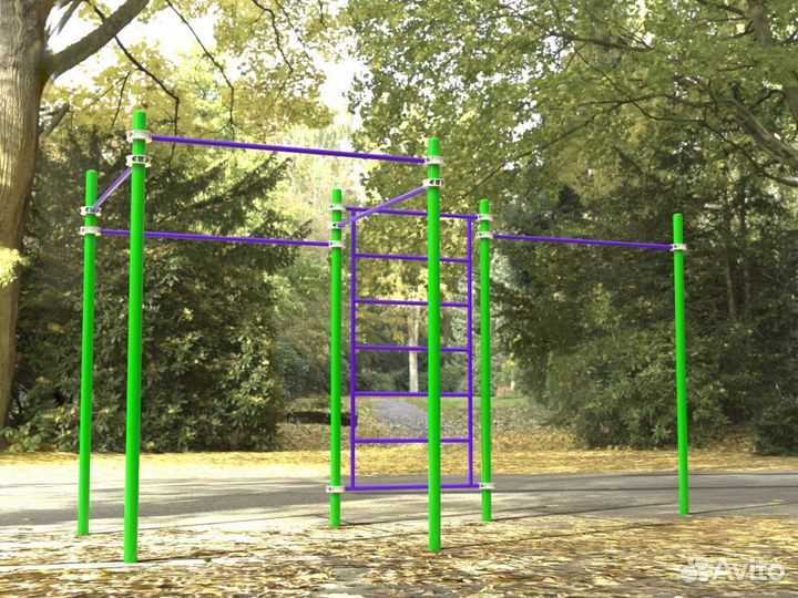 Комплекс для занятий Воркаут Pioner A16747