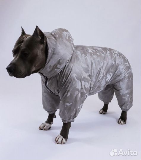 Демисезоные и зимние комбинизоны для собак