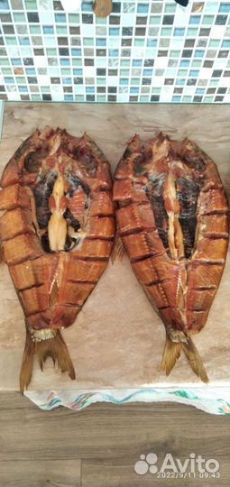 Толстолобик копченый