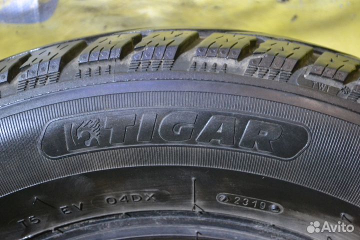 Tigar Winter 205/65 R16