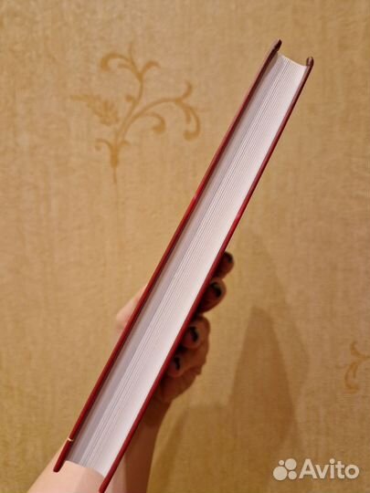 Книги (Лариса Ренар)