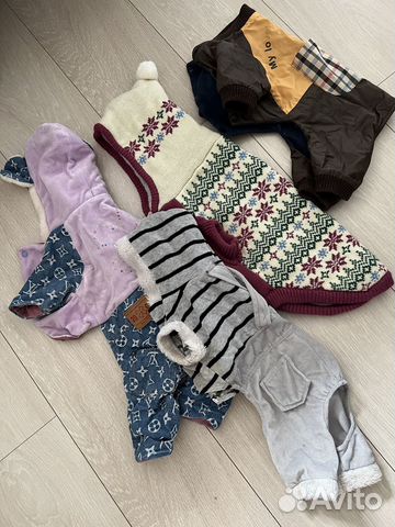 Костюмы для маленьких собак