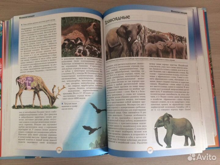 Детские энциклопедии