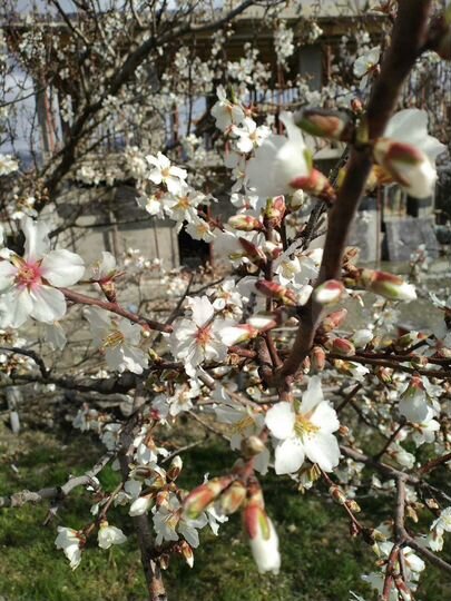 Дом 120 м² на участке 5 сот.