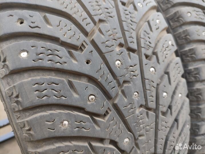 Maxxis Premitra Ice Nord NP5 205/55 R16 94T