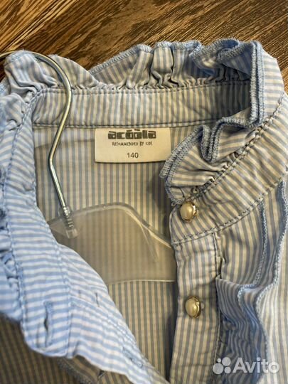 Рубашка для школы Акула р.140