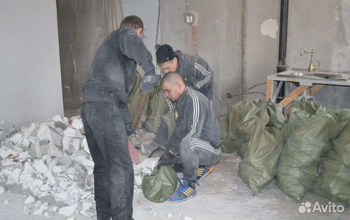 Разнорабочие