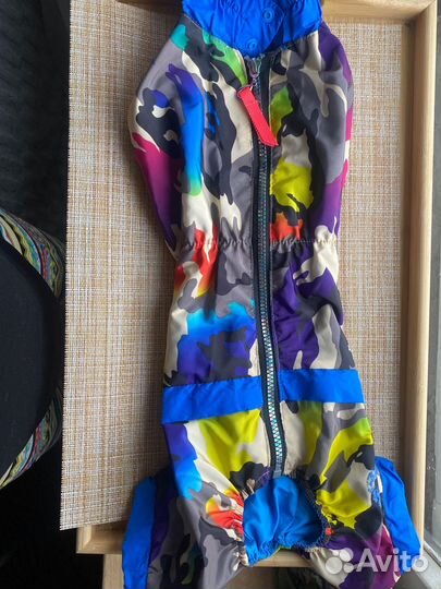 Одежда для собак