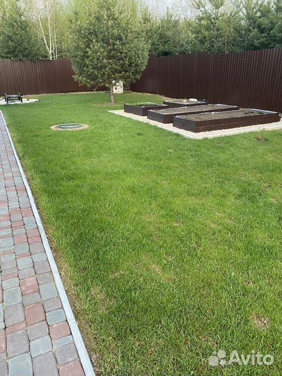 Газон Премиум семена многолетний