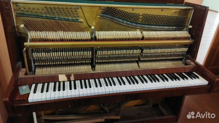 Настройщик фортепиано