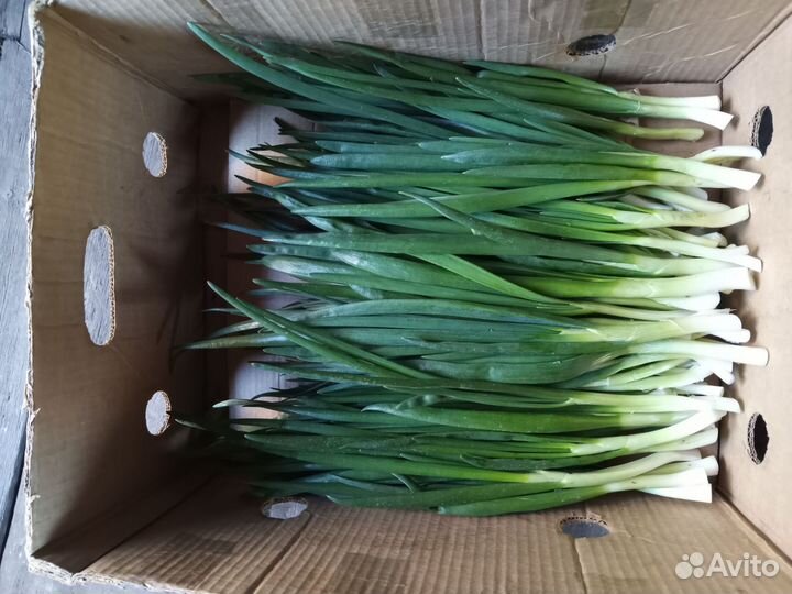 Доставка зелень