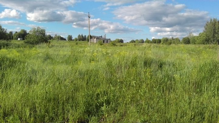 Участок 2,36 га (СНТ, ДНП)