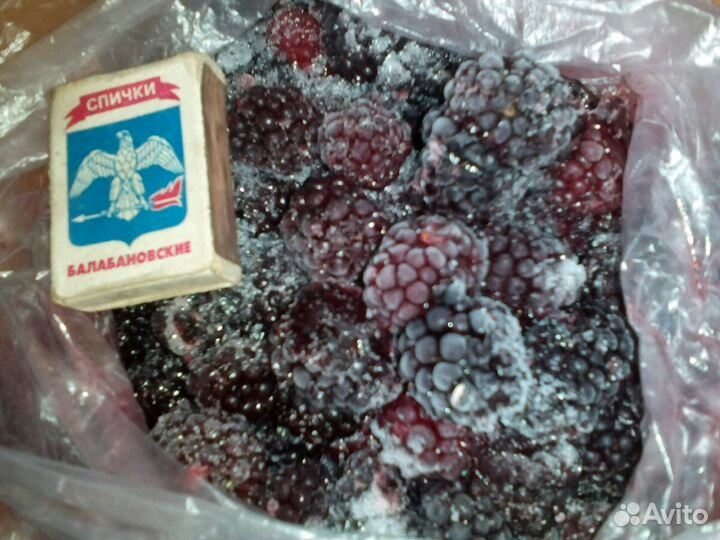 Безшиповая ежевика