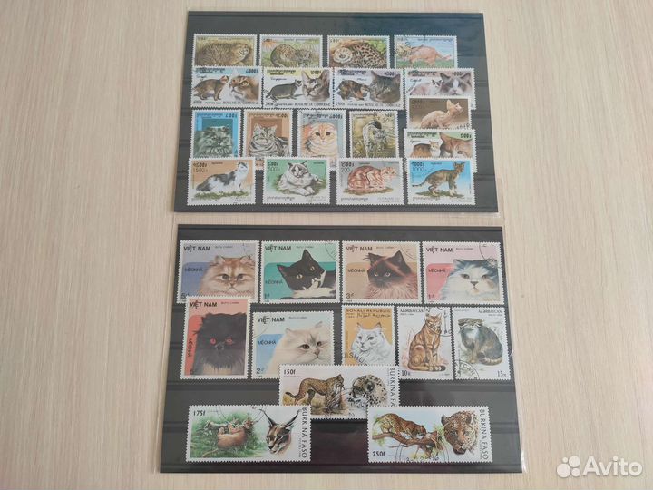 Марки Кошки