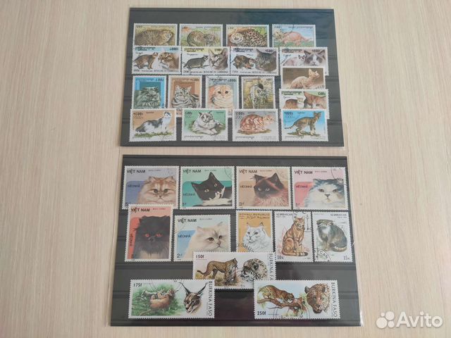 Марки Кошки