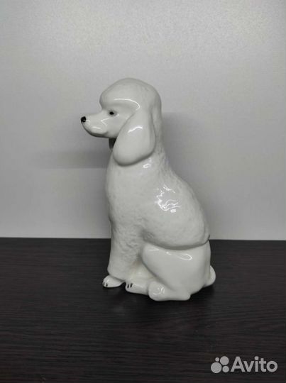 Пудель лфз белый